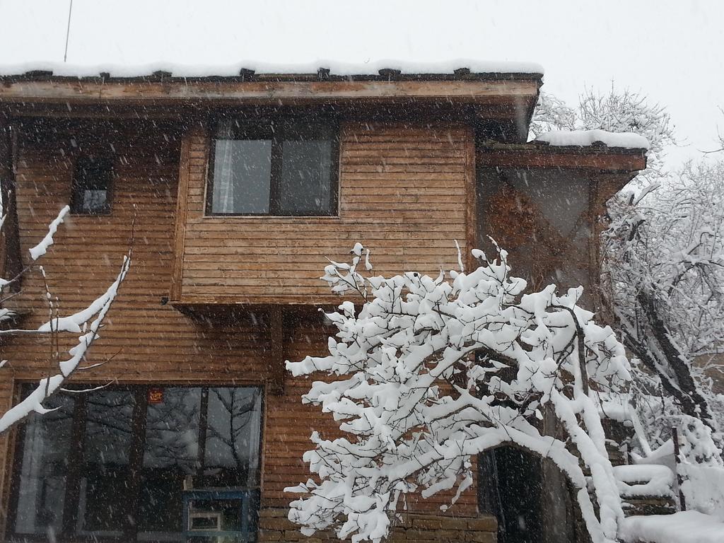 The Four Houses Kostenkovtsi 部屋 写真