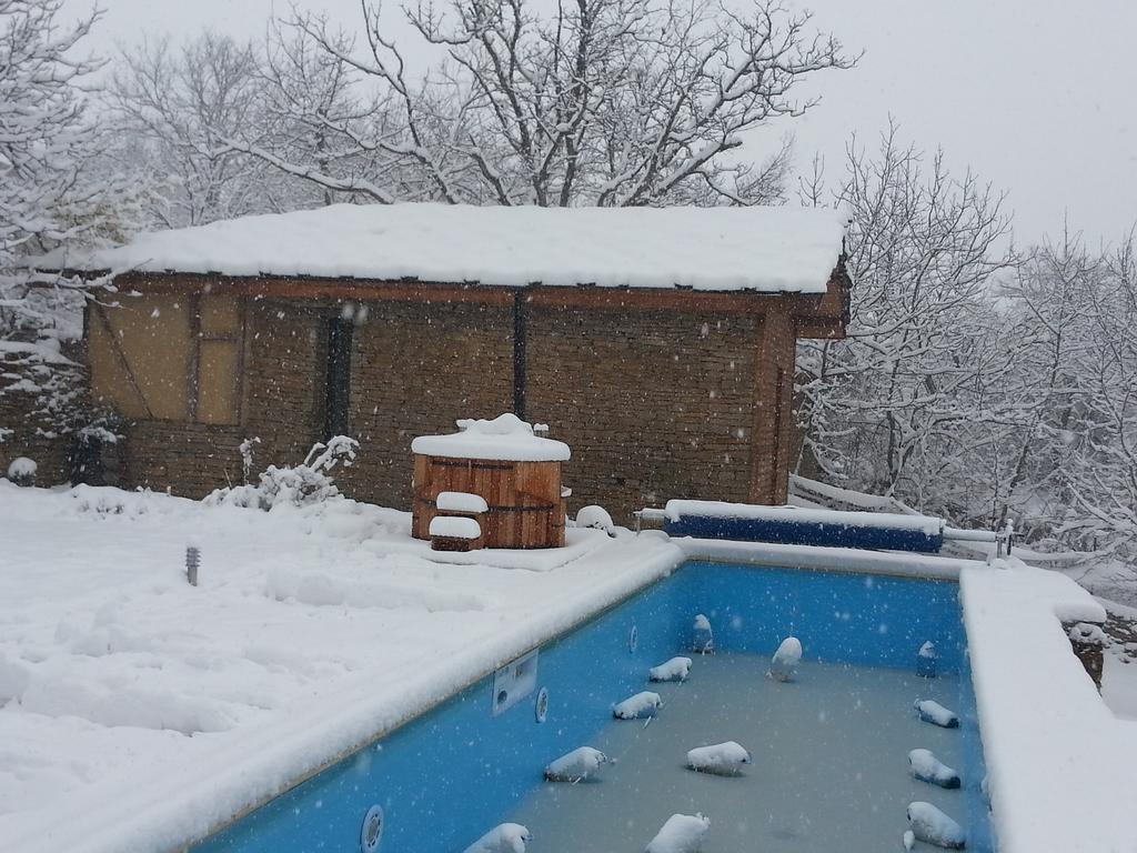 The Four Houses Kostenkovtsi 部屋 写真