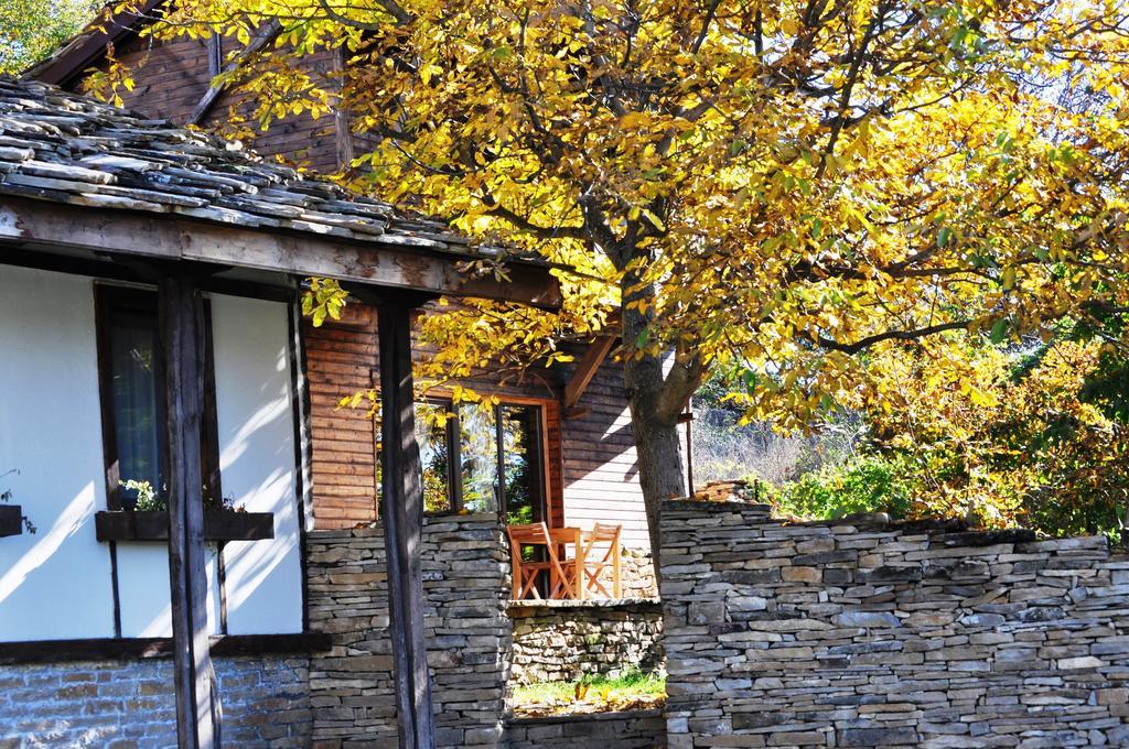 The Four Houses Kostenkovtsi 部屋 写真